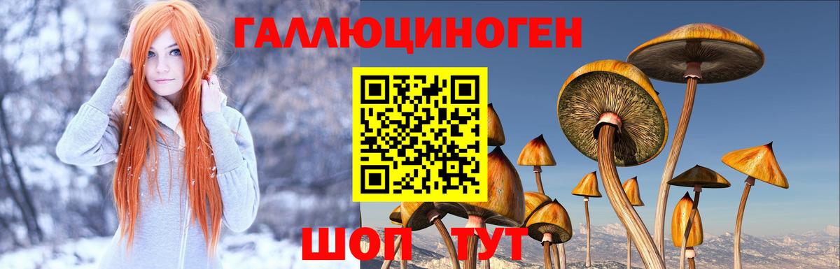Псилоцибиновые грибы GOLDEN TEACHER Усть-Илимск